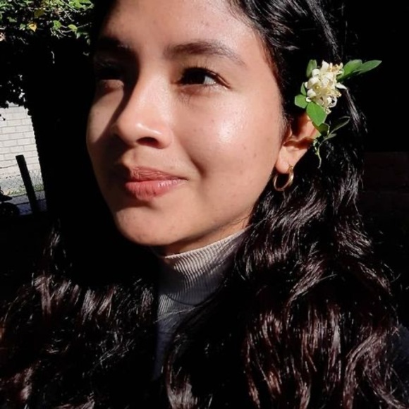 Meet your Posher, Lizzett - Picture 1 of 1